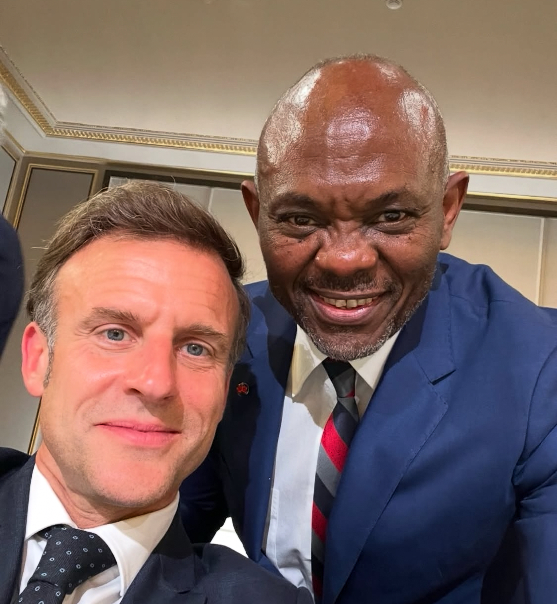 Tony Elumelu and Emmanuel Macron
