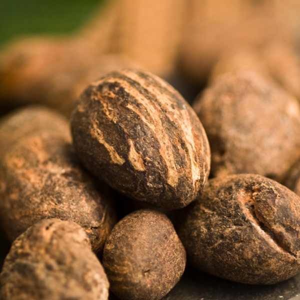 Shea Nuts