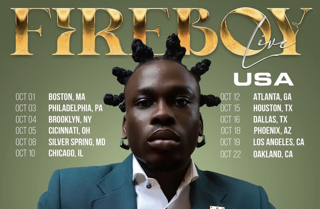 Fireboy DML concert